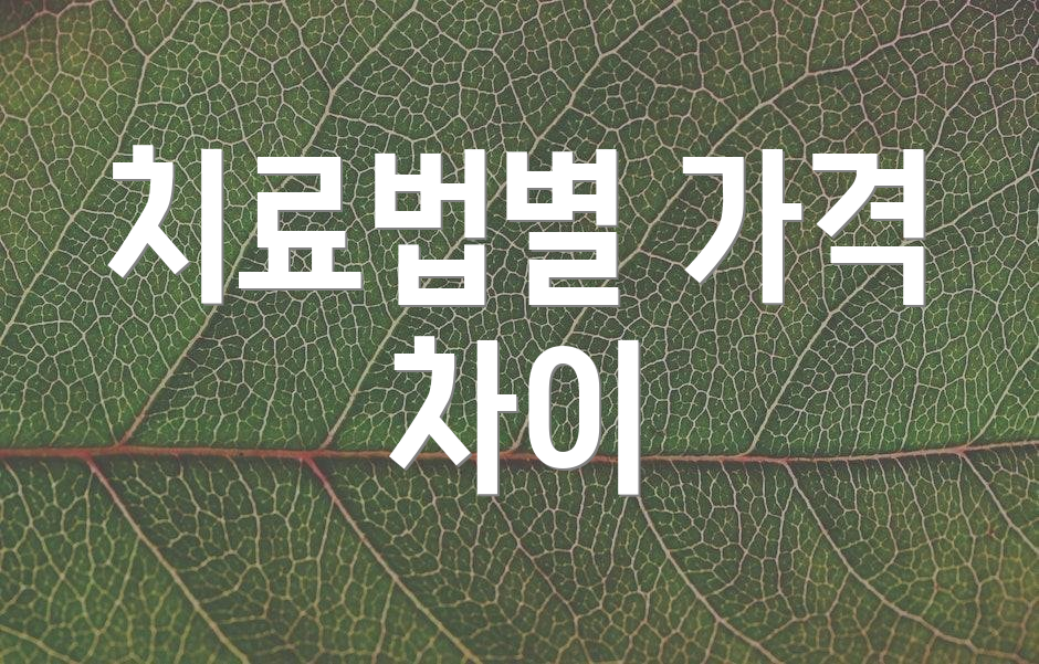 치료법별 가격 차이