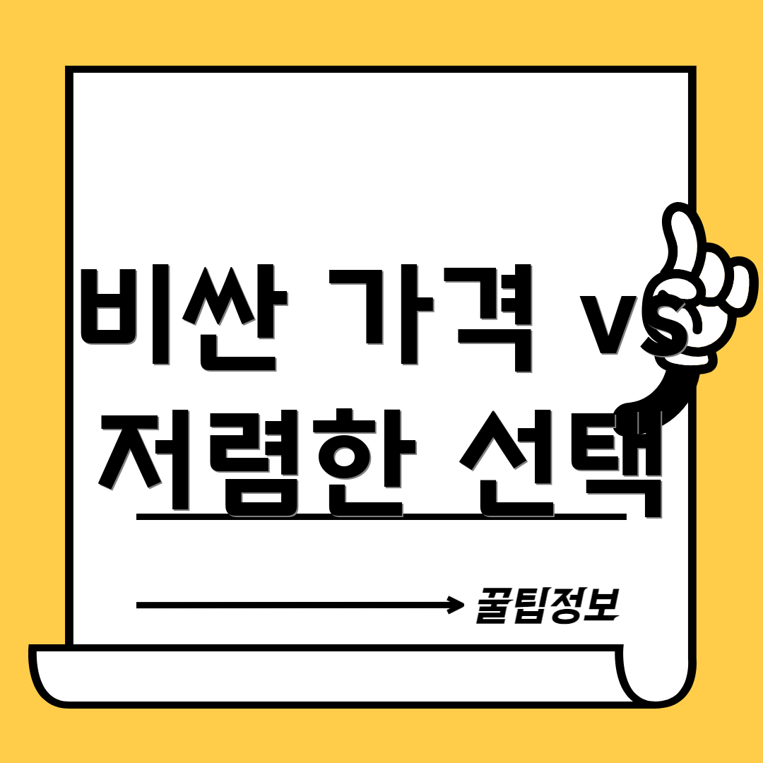 비싼 가격 vs 저렴한 선택