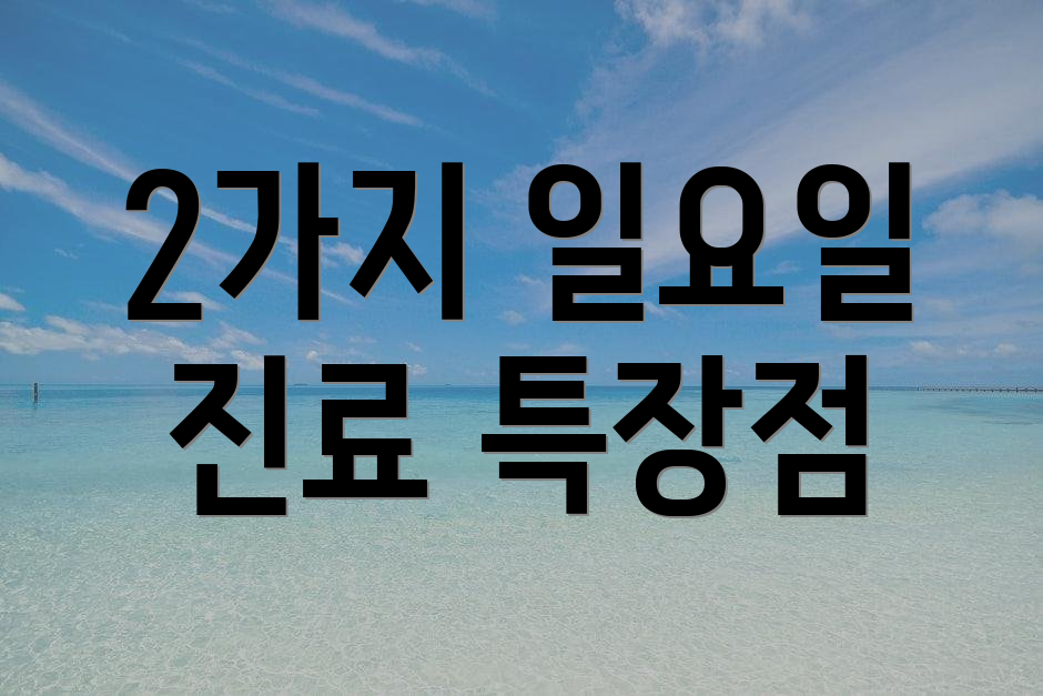 2가지 일요일 진료 특장점