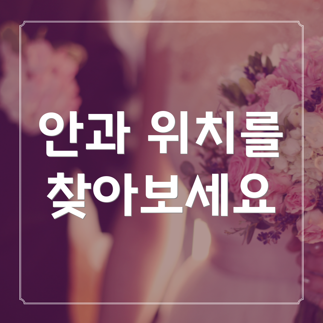 안과 위치를 찾아보세요