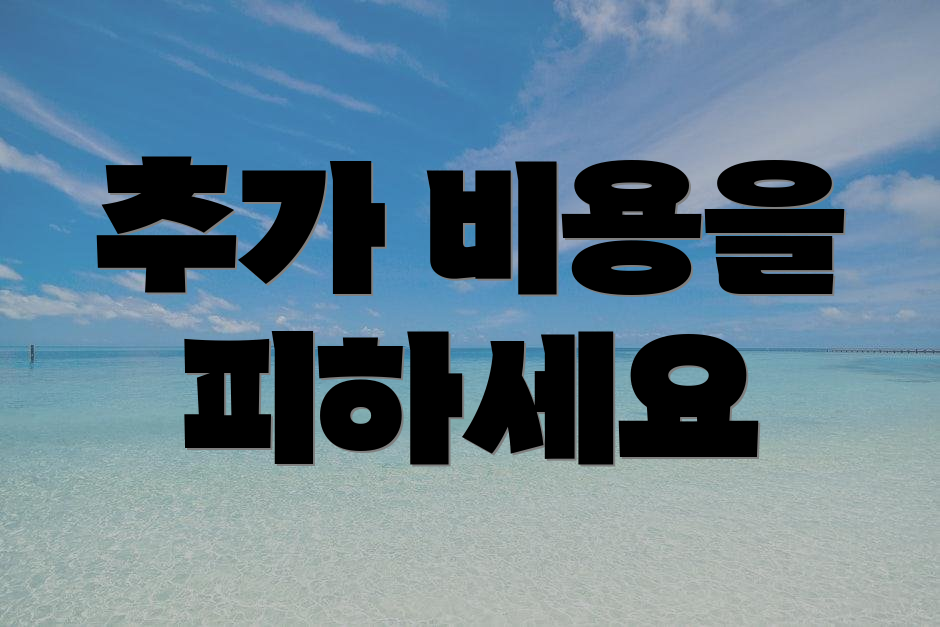 추가 비용을 피하세요