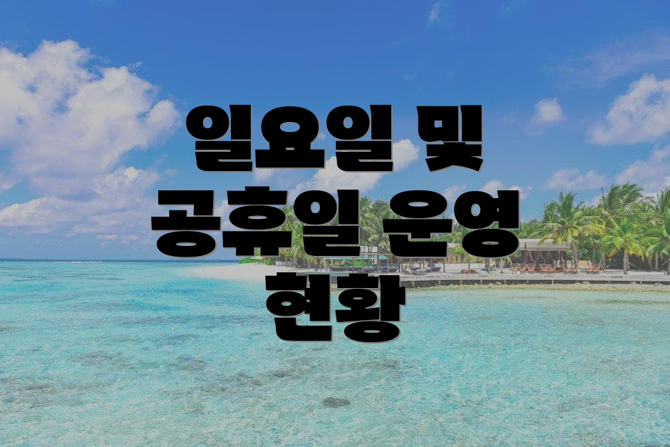 일요일 및 공휴일 운영 현황