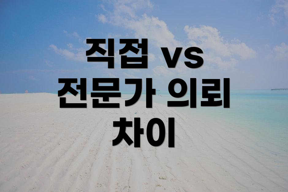 직접 vs 전문가 의뢰 차이