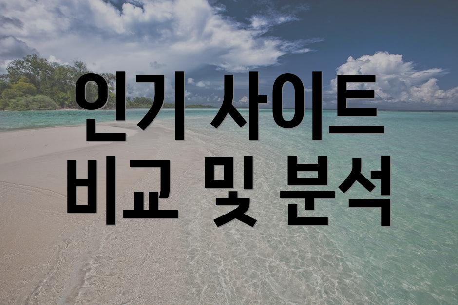 인기 사이트 비교 및 분석