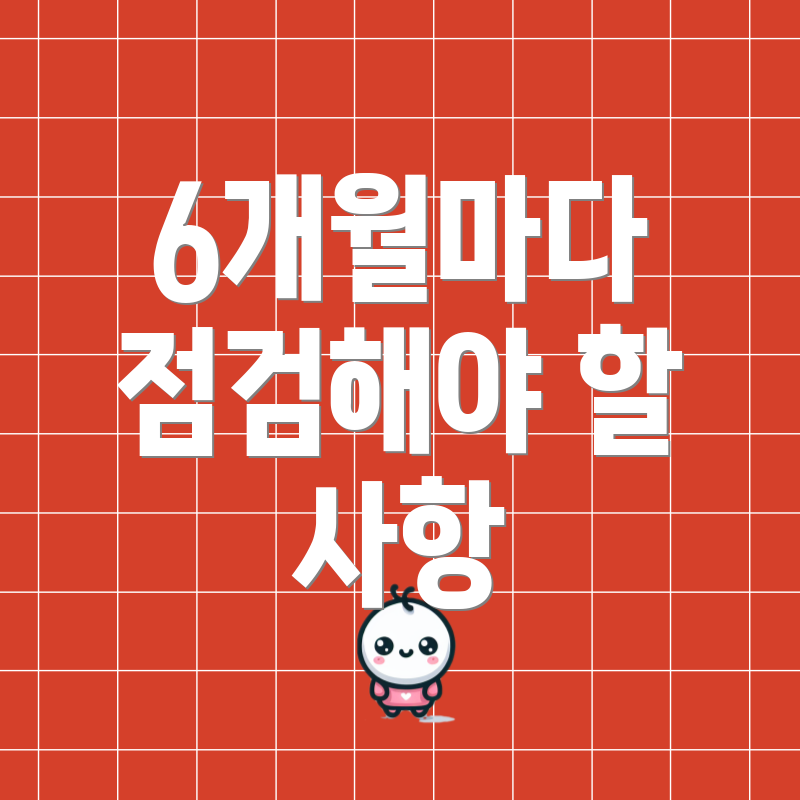 6개월마다 점검해야 할 사항