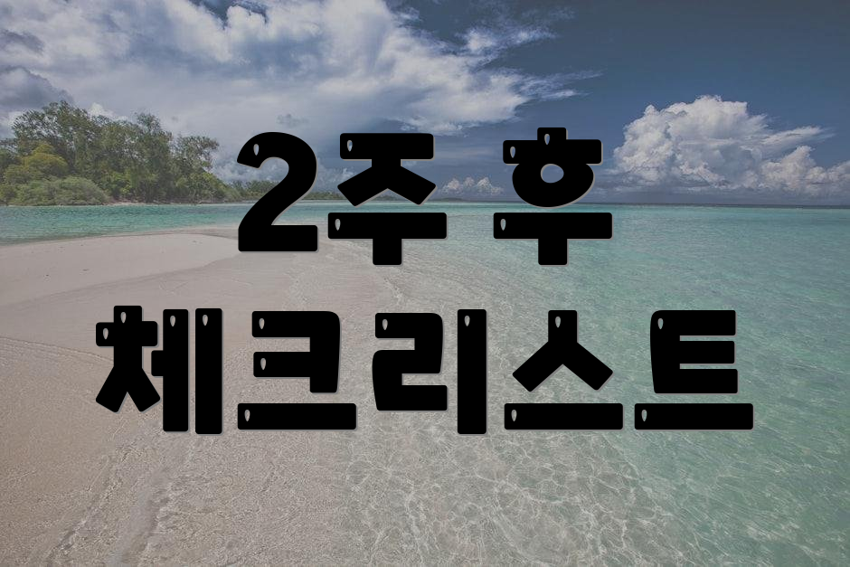 2주 후 체크리스트