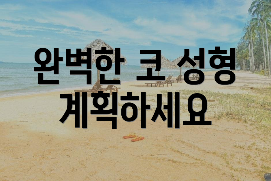 완벽한 코 성형 계획하세요