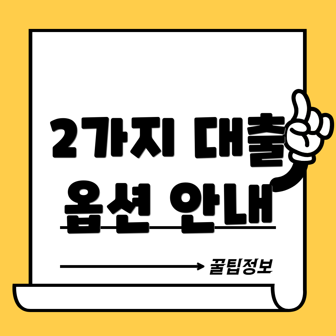 2가지 대출 옵션 안내