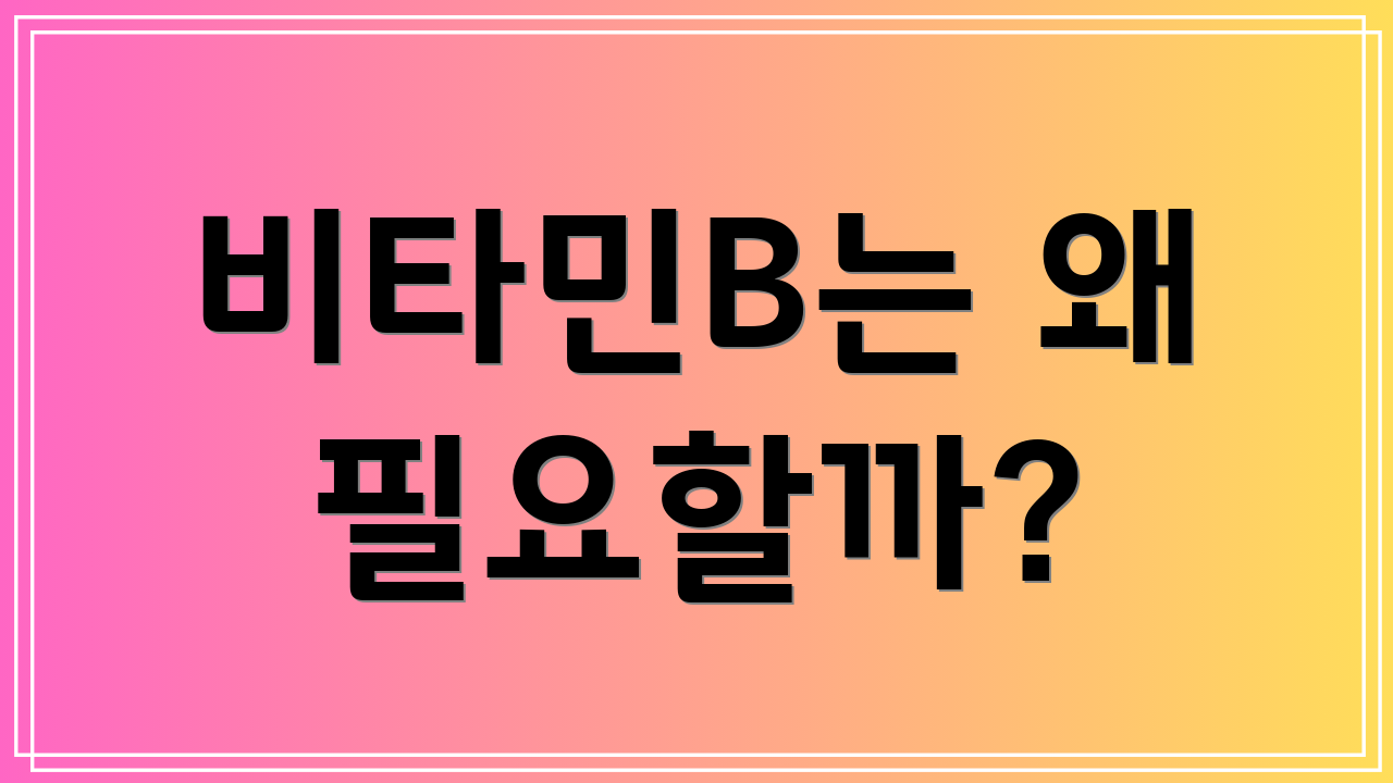 비타민B는 왜 필요할까?