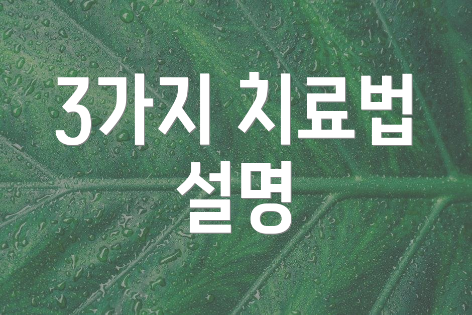 3가지 치료법 설명