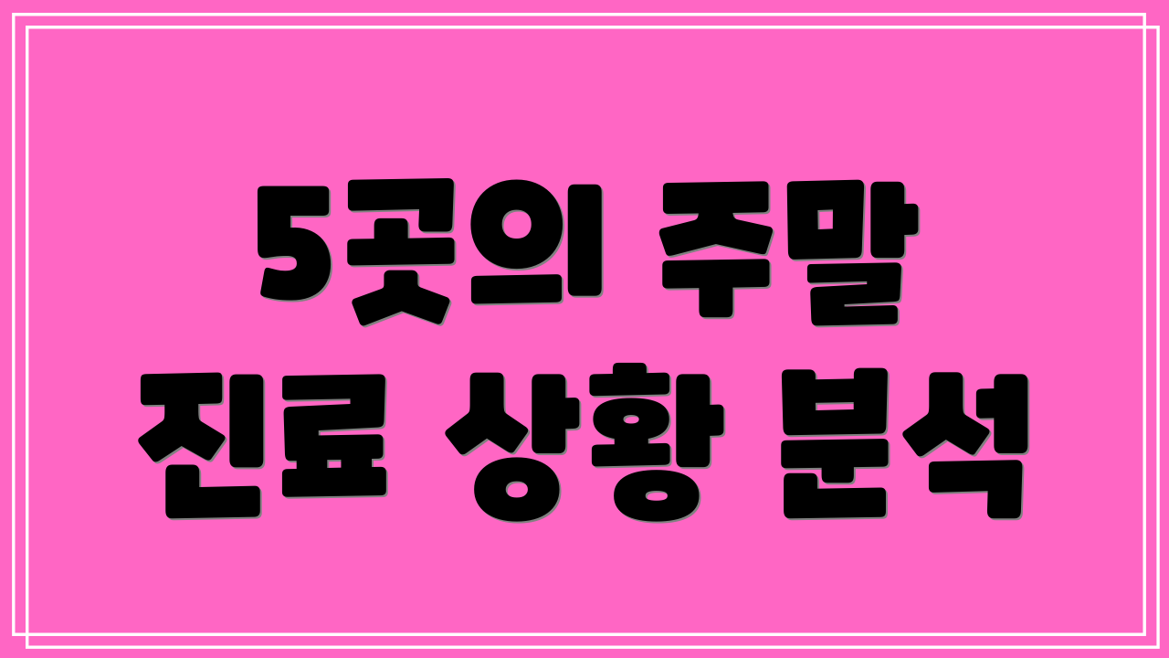 5곳의 주말 진료 상황 분석