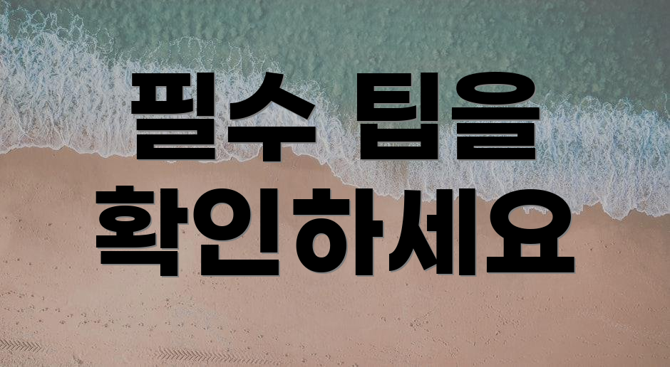 필수 팁을 확인하세요