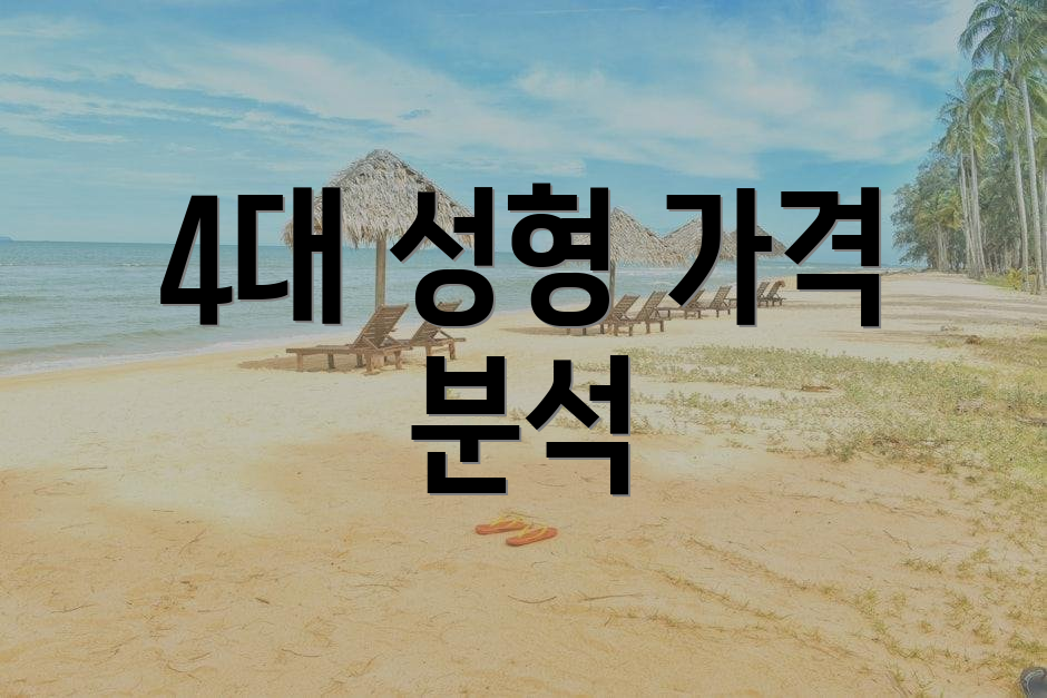 4대 성형 가격 분석