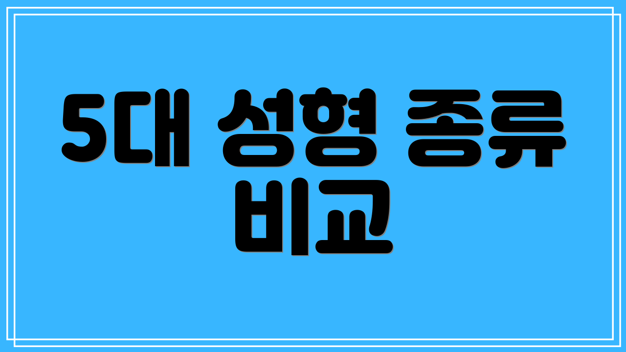 5대 성형 종류 비교