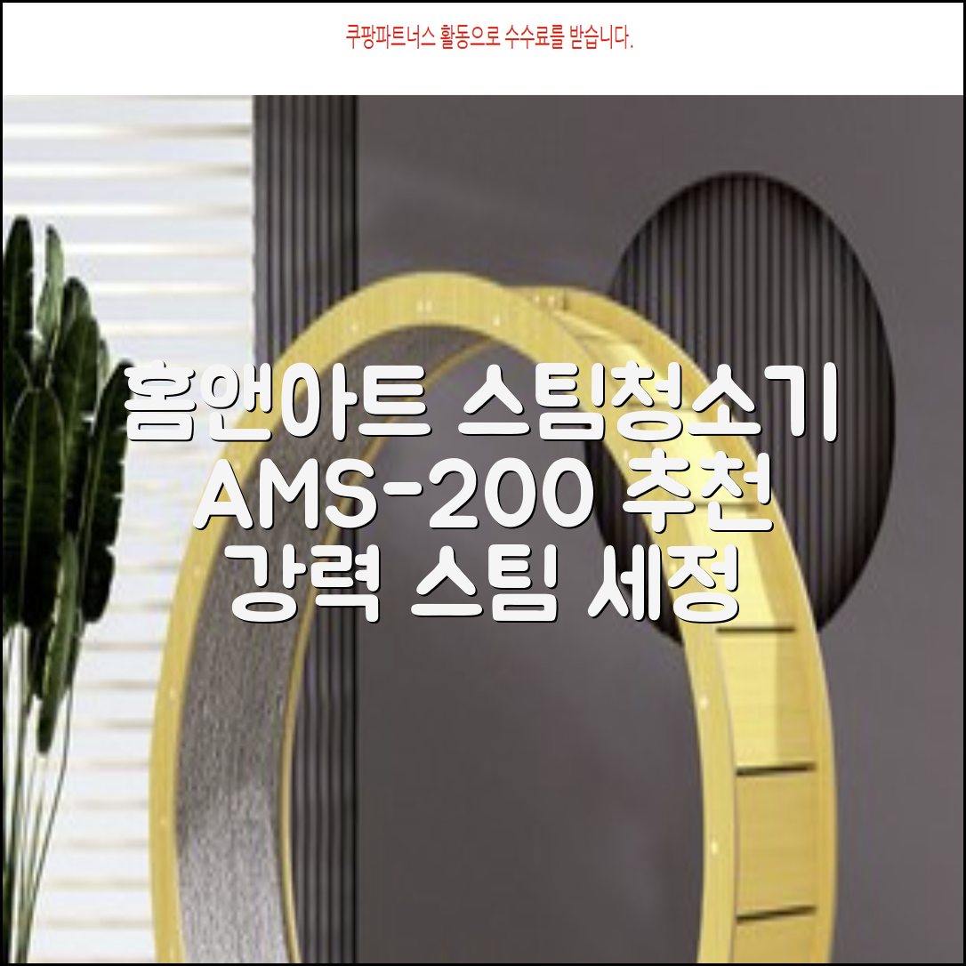홈앤아트 퓨어 스팀청소기 AMS-200 추천 리뷰