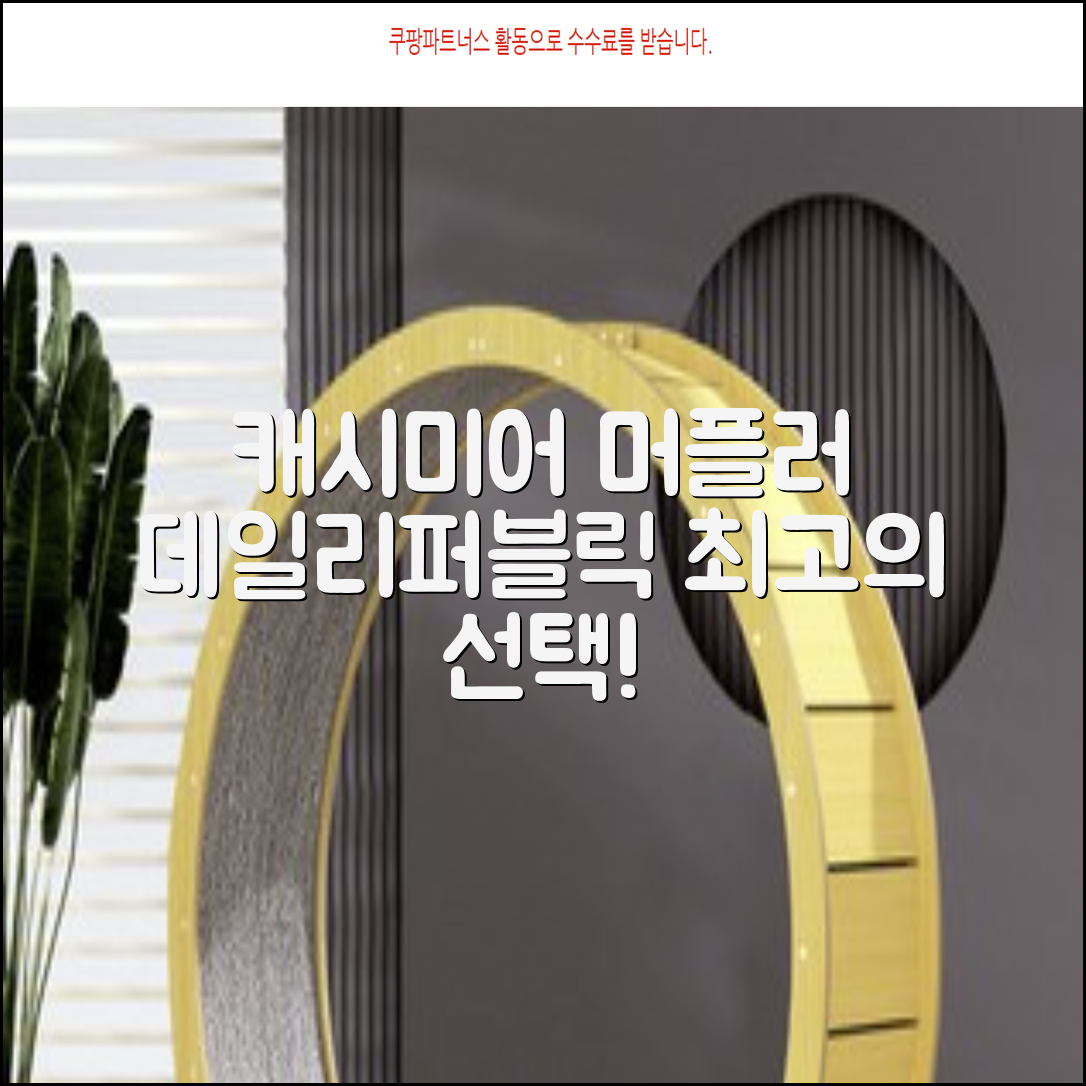 데일리퍼블릭 롱 캐시미어 머플러 목도리 넥워머 추천 리뷰