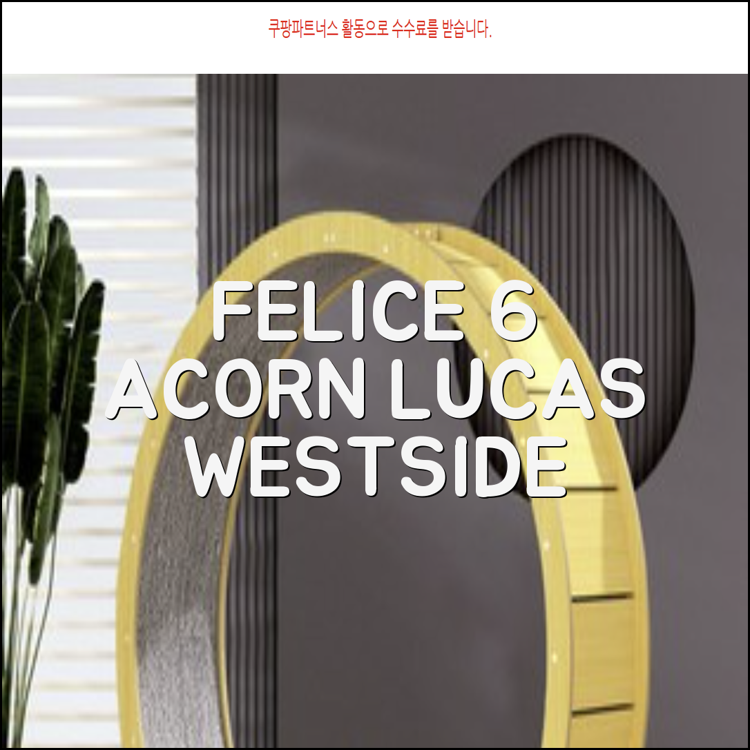 FELICE 장비세트6 ACORN데크 바인딩 LUCAS부츠, WESTSIDE 레드154+바인딩M, 1개 추천 리뷰