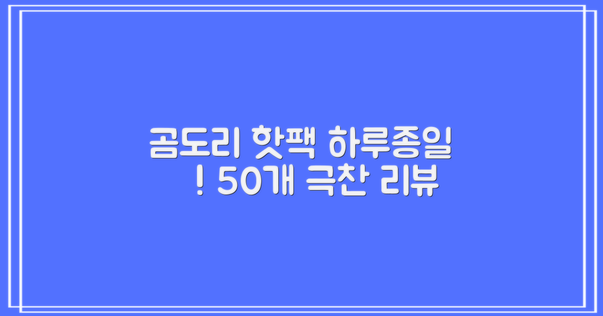 곰도리 하루종일 촥~ 붙이는 핫팩 장시간 고급형, 50개 추천 리뷰