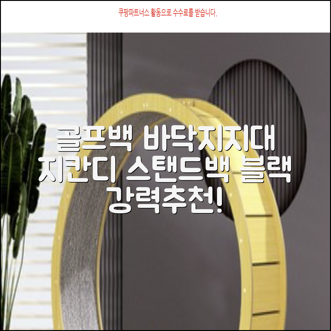 지칸디 골프 스탠드백 레그홀더 다리고정 바닥 지지대, 블랙 추천 리뷰