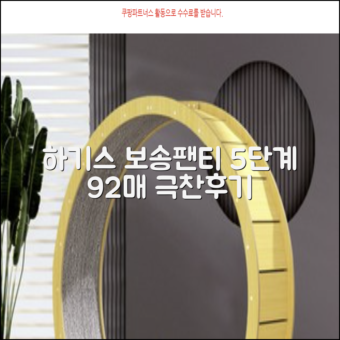 하기스 NEW 보송보송 팬티형 기저귀 공용, 5단계, 92매 추천 리뷰