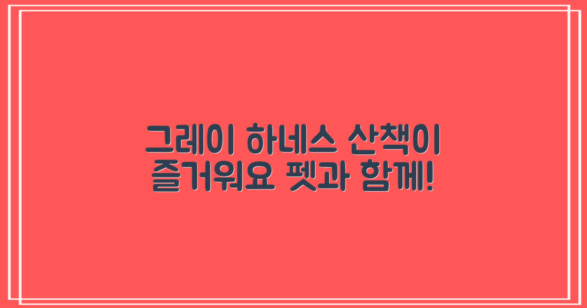 그레이 하네스로 산책 즐겨요