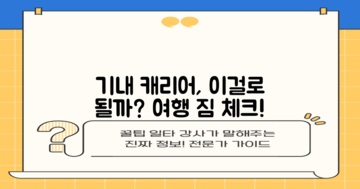기내 캐리어, 이걸로 충분할까?