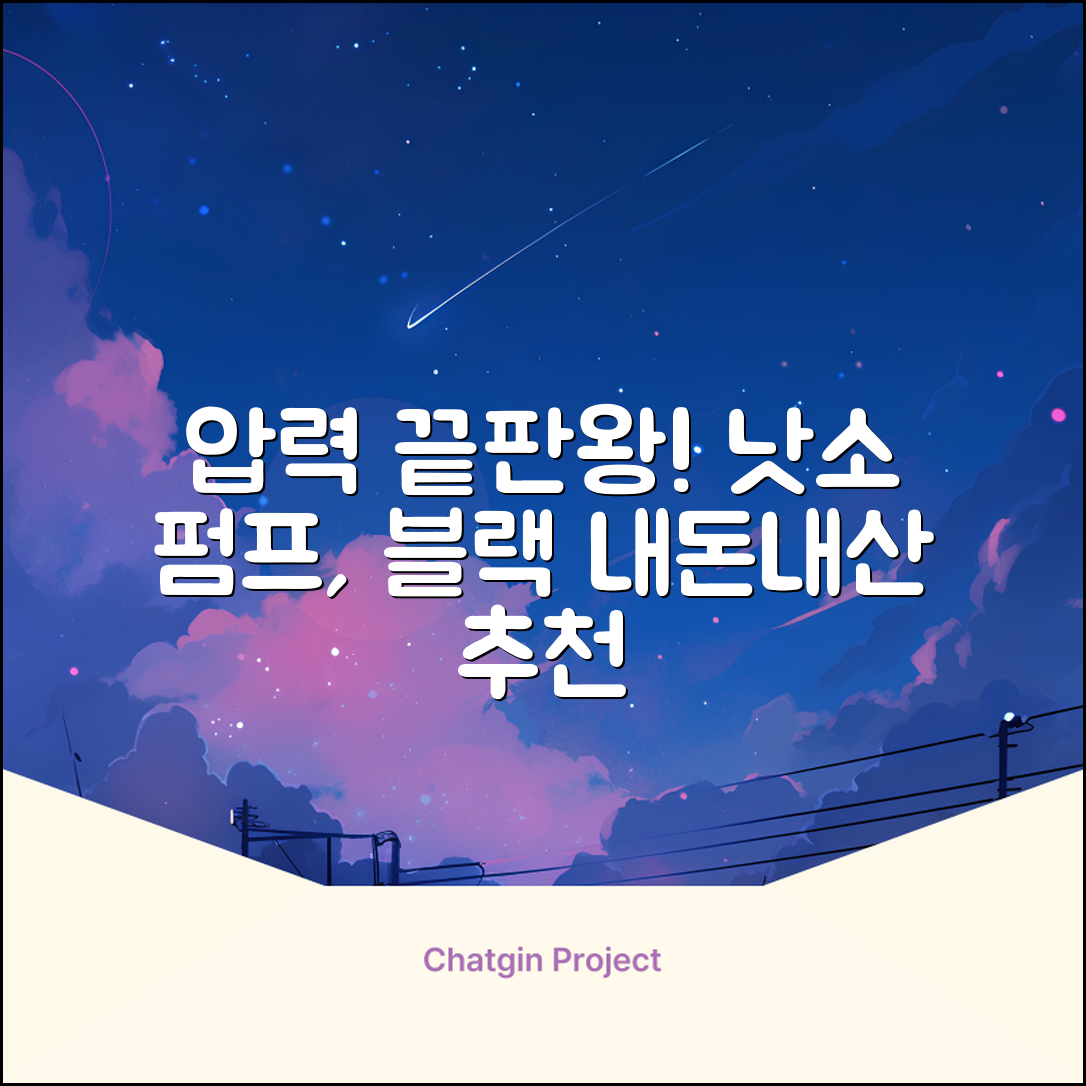 낫소 양방향 압력게이지 펌프, 블랙, 1개 추천 리뷰