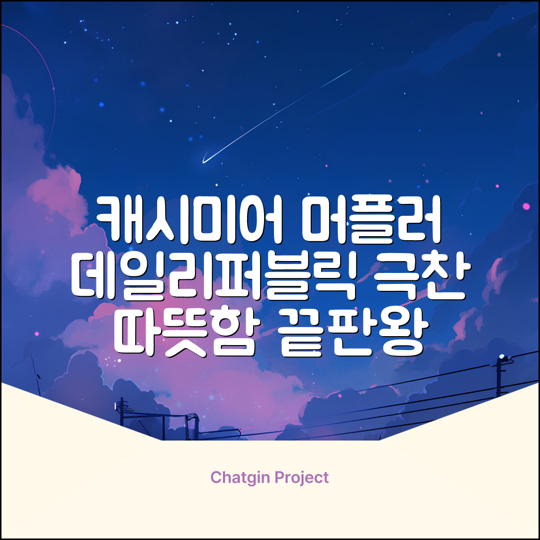 데일리퍼블릭 롱 캐시미어 머플러 목도리 넥워머 추천 리뷰