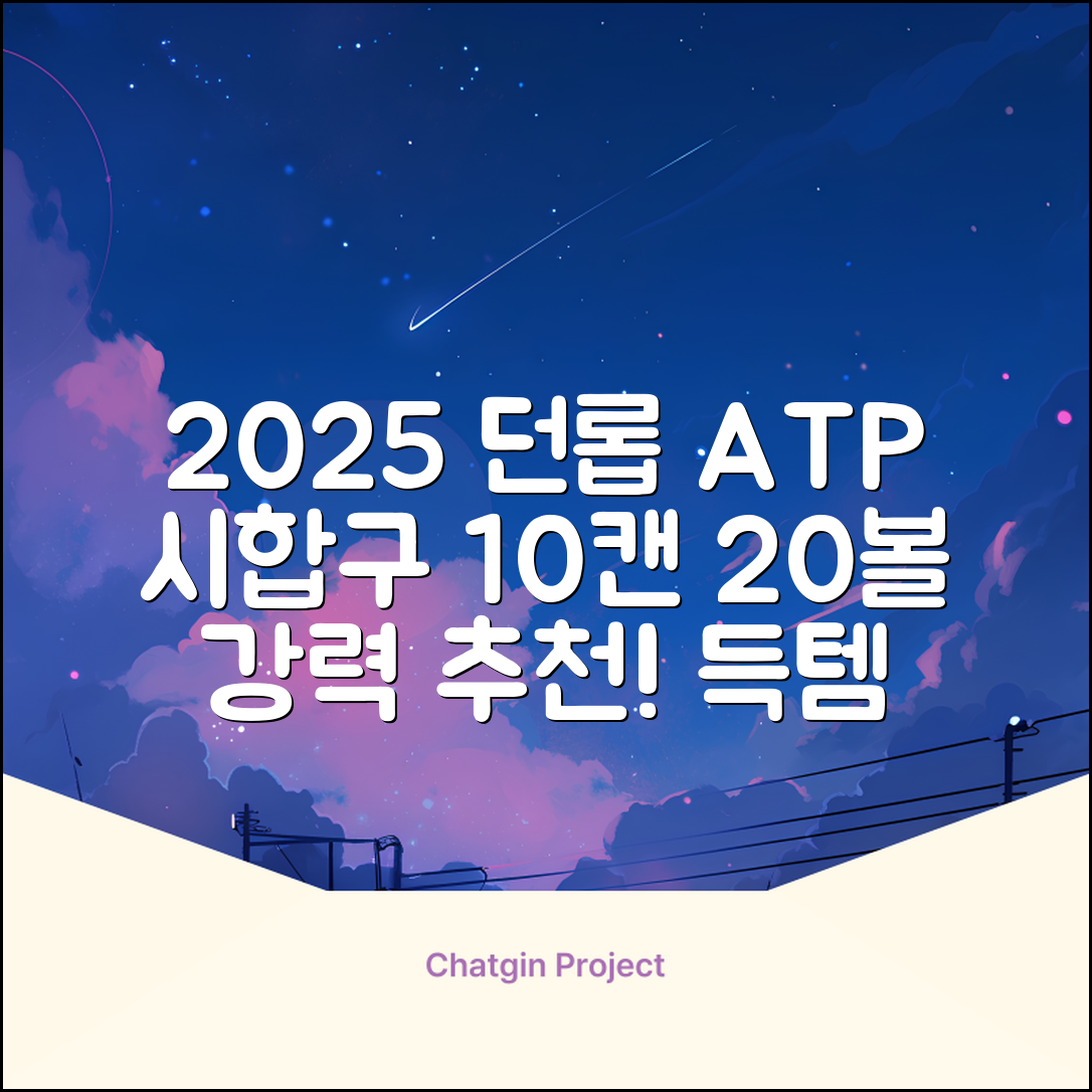 2025 던롭 ATP 테니스공 10캔 (20볼) 시합구, 던롭 ATP볼 10캔 (20볼), 10세트 추천 리뷰