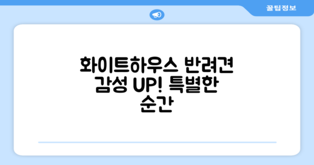 ✨ 화이트 하우스, 반려견 감성 UP!