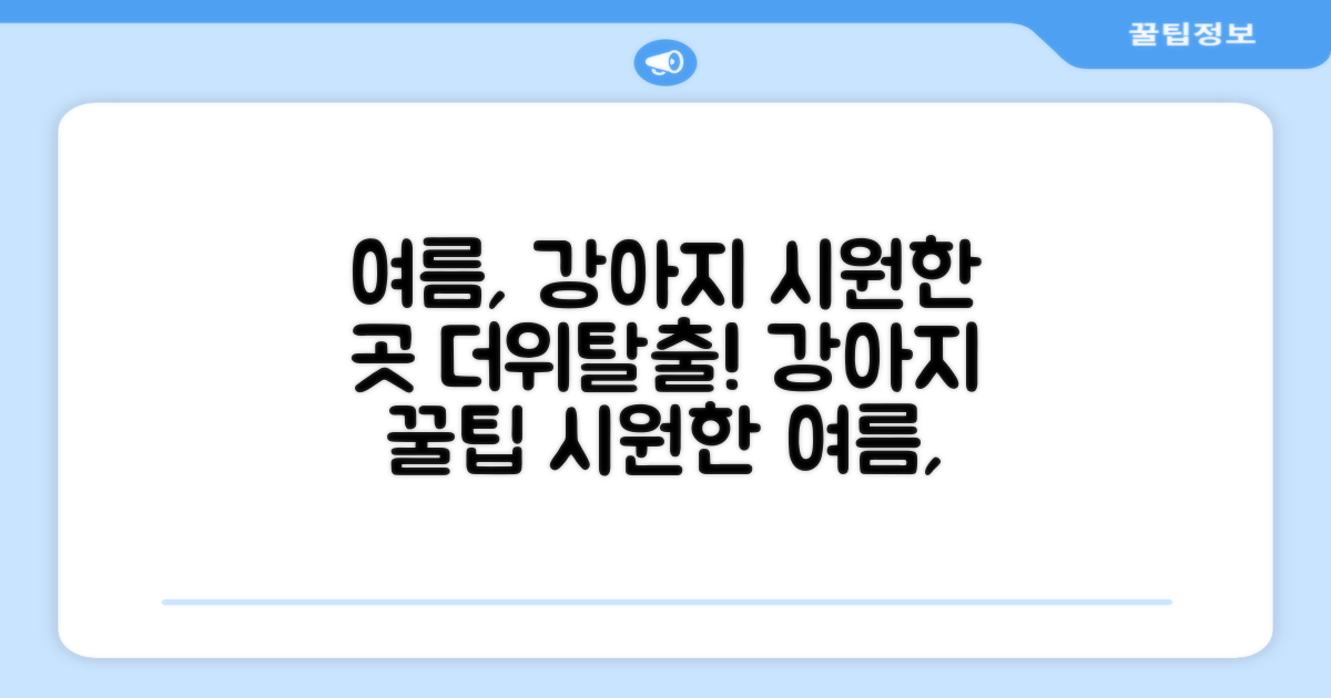 🐶 우리 강아지, 여름엔 어디서 시원하게?