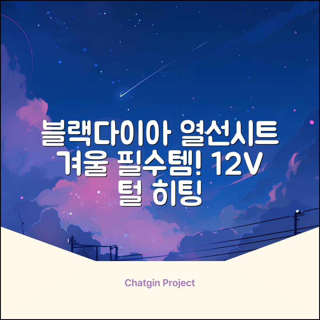 블랙다이아 차량용 열선시트 (1P) 털 겨울 히팅 전기시트, 1개, 12V (운전/조수석) 추천 리뷰