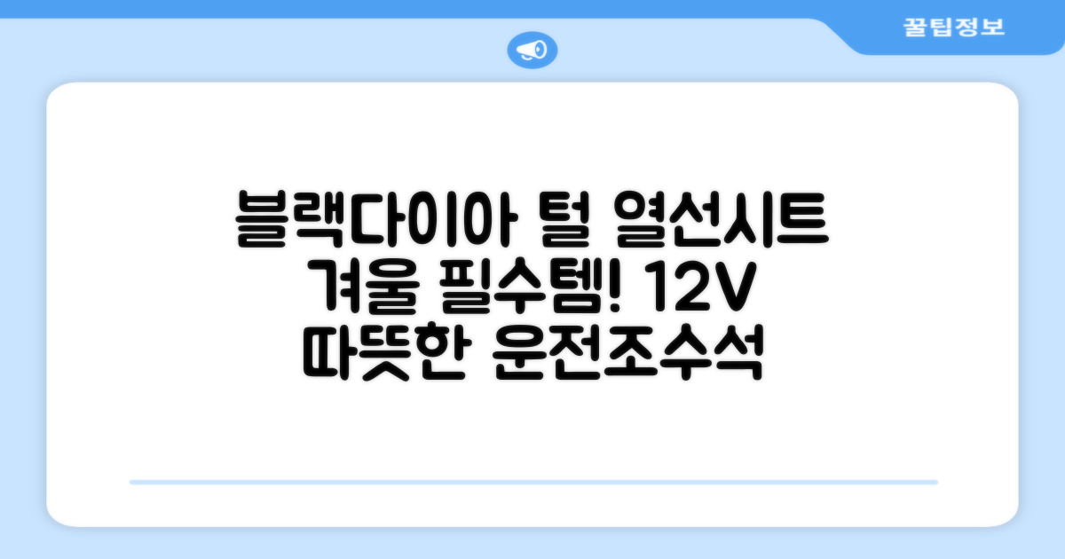 블랙다이아 차량용 열선시트 (1P) 털 겨울 히팅 전기시트, 1개, 12V (운전/조수석) 추천 리뷰