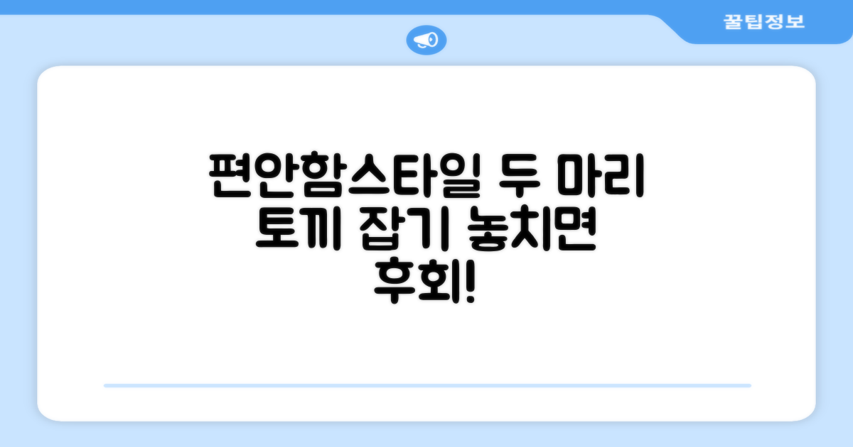 편안함과 스타일을 동시에!