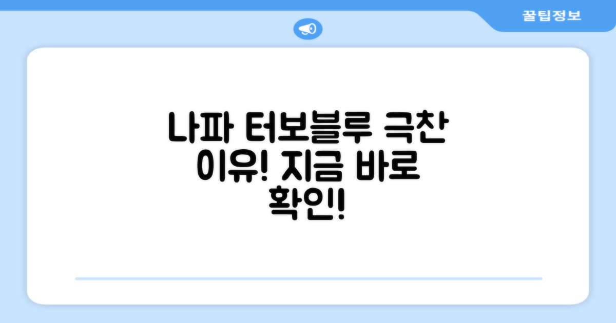 나파 터보블루, 왜 추천할까?