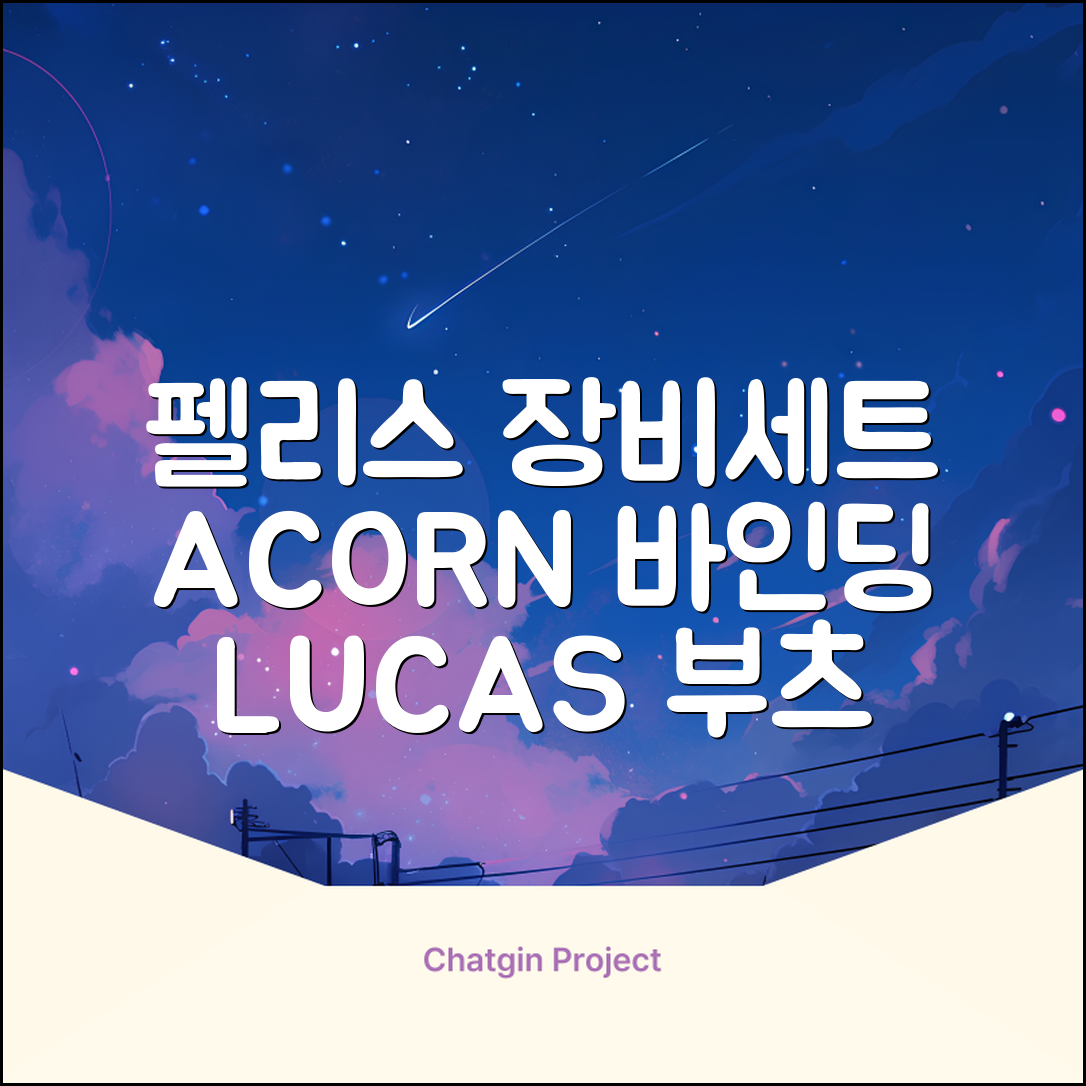 FELICE 장비세트6 ACORN데크 바인딩 LUCAS부츠, WESTSIDE 레드154+바인딩M, 1개 추천 리뷰