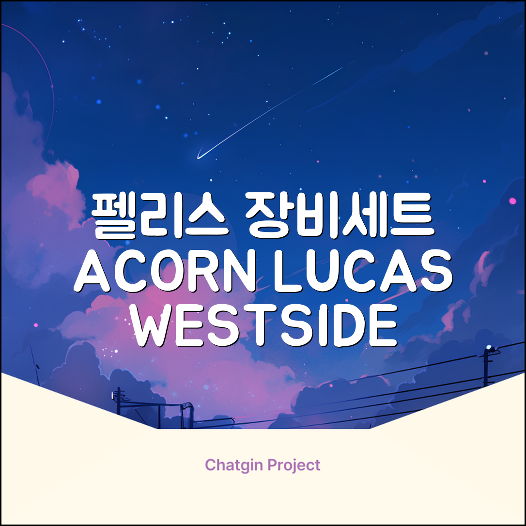 FELICE 장비세트6 ACORN데크 바인딩 LUCAS부츠, WESTSIDE 레드154+바인딩M, 1개 추천 리뷰