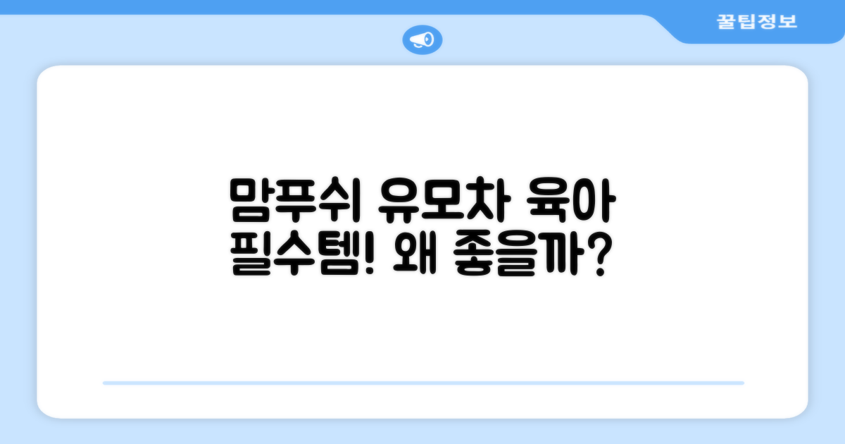 왜 맘푸쉬 유모차가 좋을까?