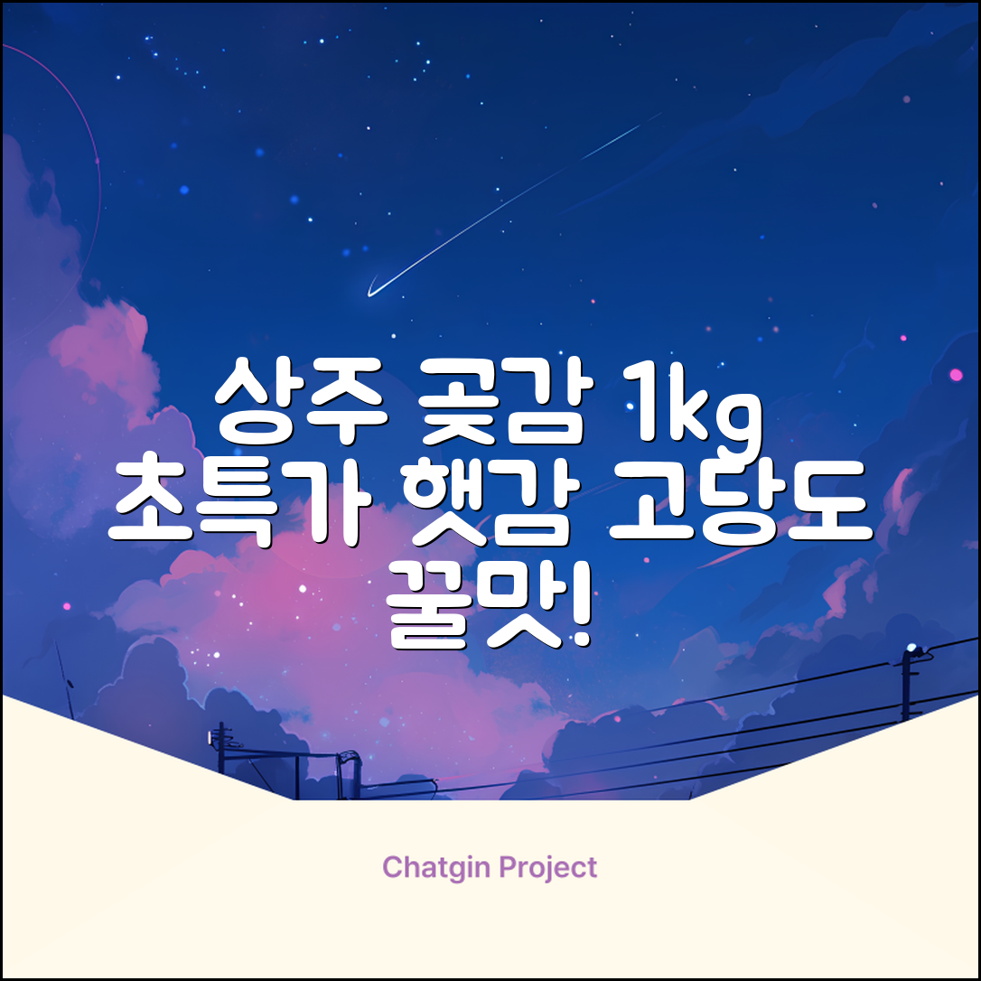 상주 곶감 초특가 1kg 고당도 햇감, 1개 추천 리뷰