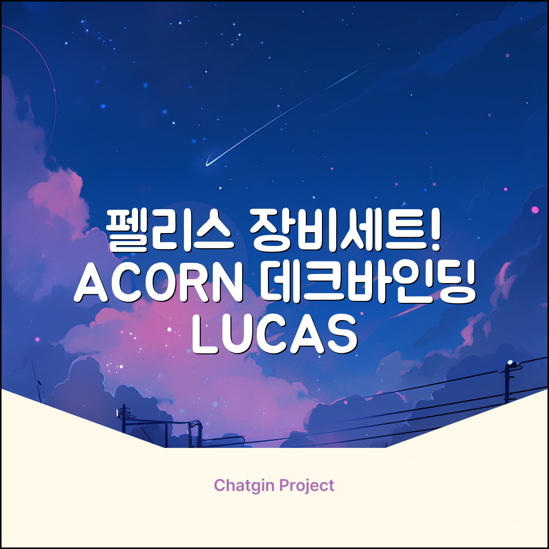 FELICE 장비세트6 ACORN데크 바인딩 LUCAS부츠, WESTSIDE 레드154+바인딩M, 1개 추천 리뷰