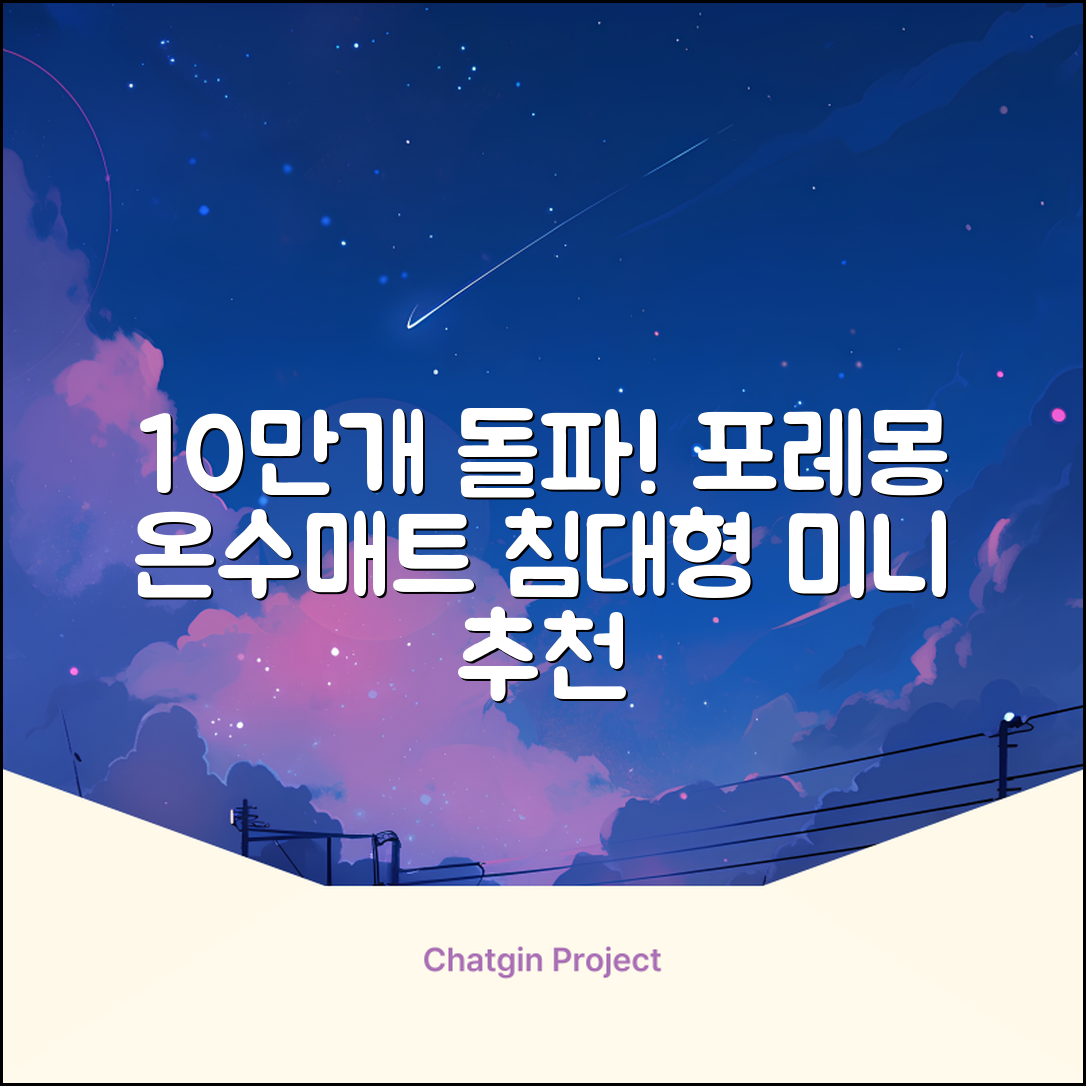[10만개 판매돌파] 포레몽 온수매트 침대형 BTM-501S, 미니(800x1800mm) 추천 리뷰