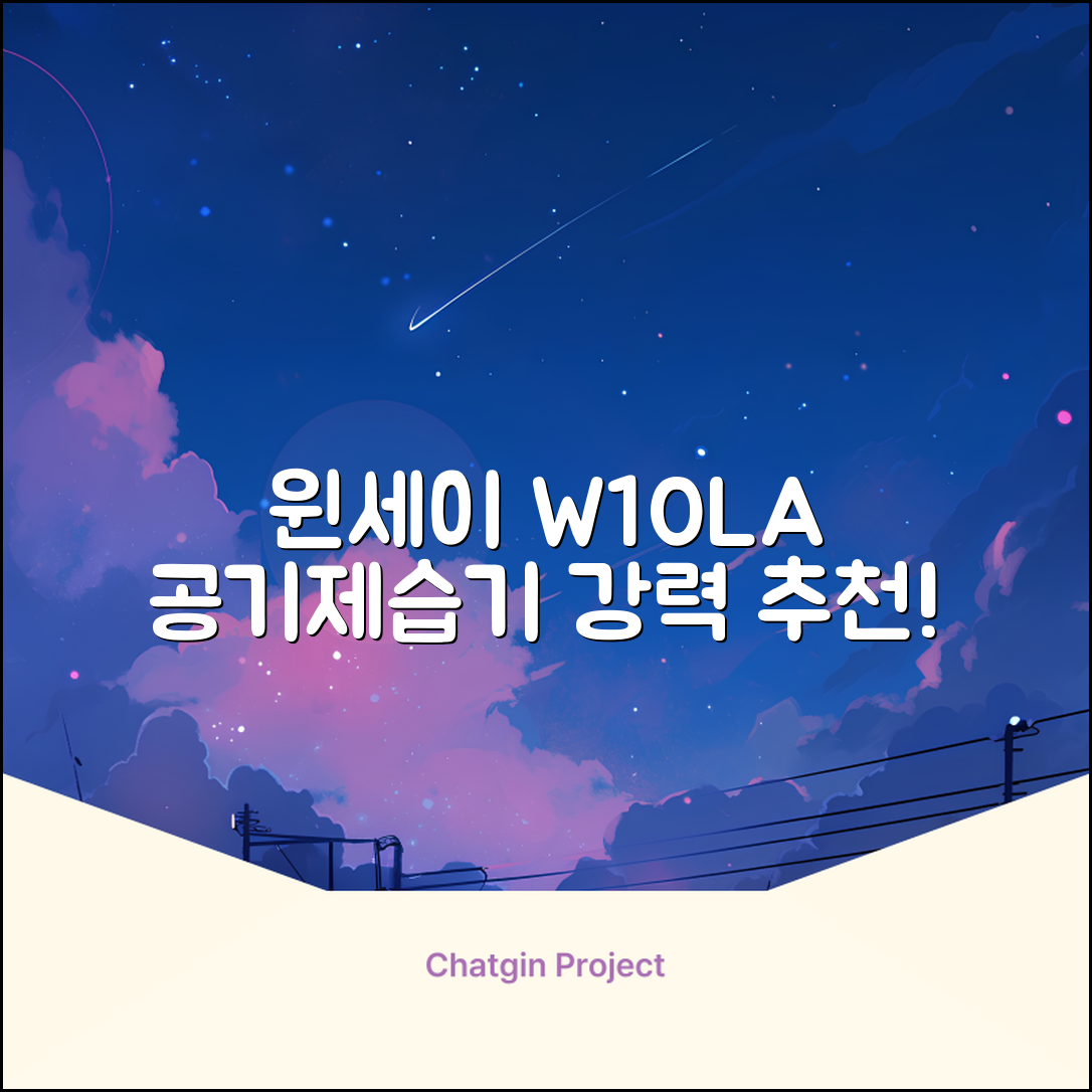 윈세이 인버터 방하나 공기청정 제습기 10L W10LA 추천 리뷰