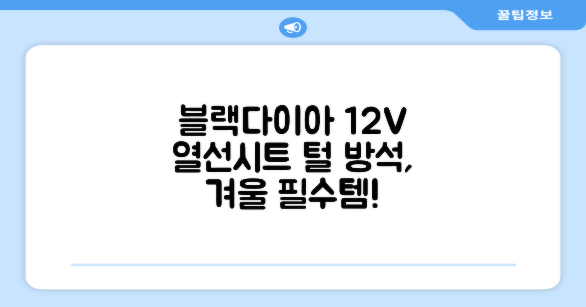 블랙다이아 차량용 열선시트 (1P) 털 겨울 히팅 전기시트, 1개, 12V (운전/조수석) 추천 리뷰