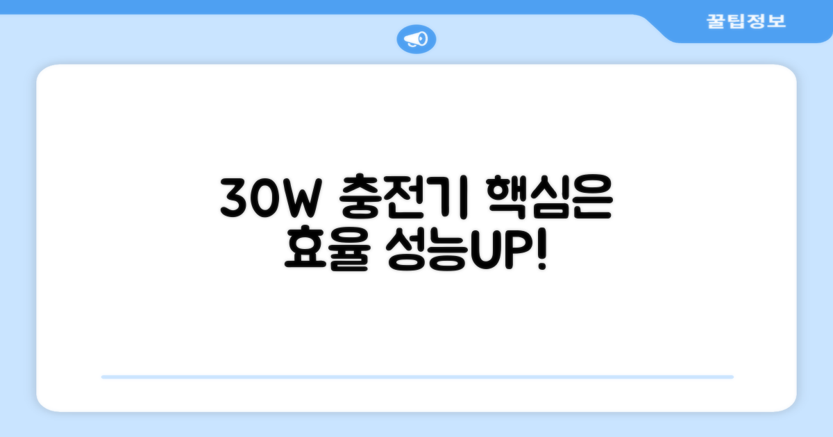 30W 충전기 효율성