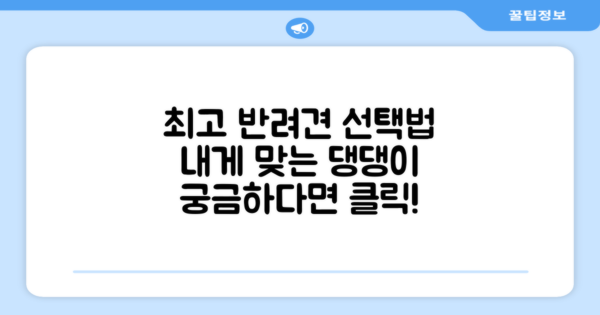 반려견에게 최고의 선택은?