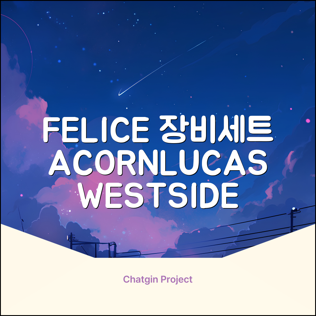 FELICE 장비세트6 ACORN데크 바인딩 LUCAS부츠, WESTSIDE 레드154+바인딩M, 1개 추천 리뷰