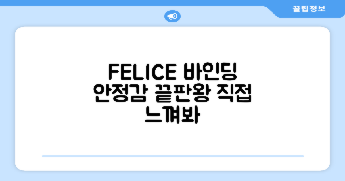 FELICE 바인딩의 안정감