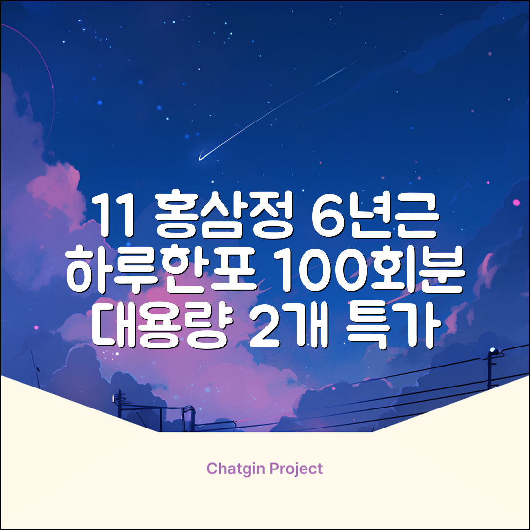 [1+1 특가] 홍삼정 6년근 하루한포 100회분 대용량+쇼핑백, 2개, 1L 추천 리뷰