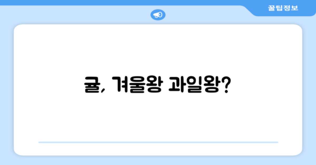 겨울 제철 과일, 귤이 최고인가요?