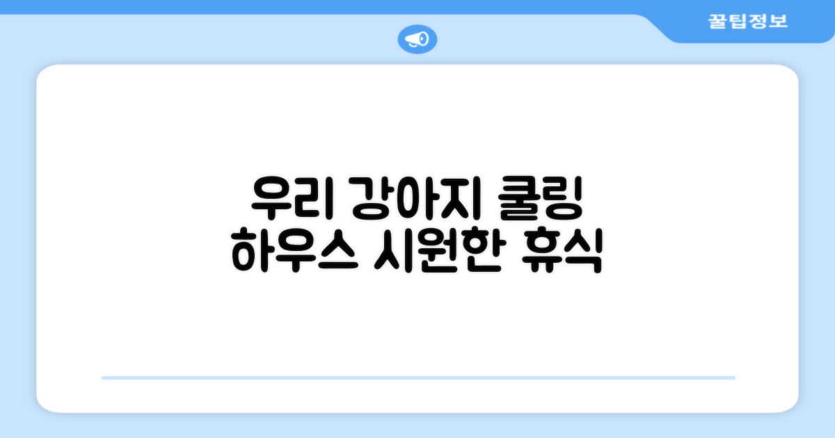 우리 강아지, 쿨링 하우스 즐기기